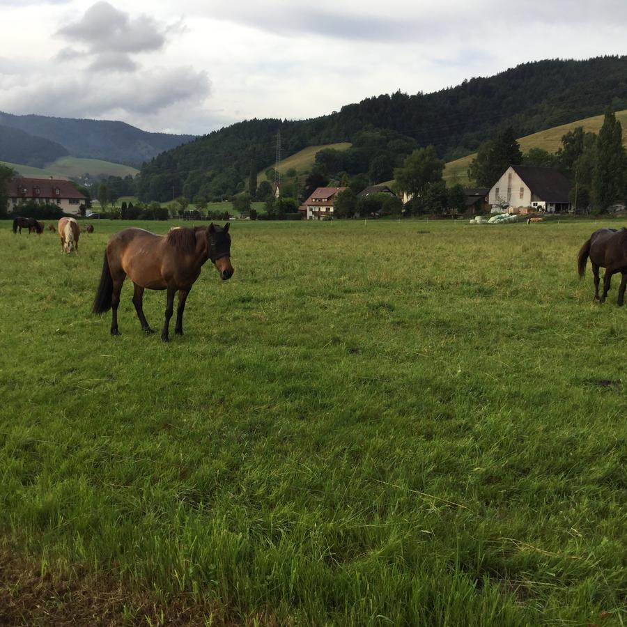 Fewo Bella Margitta Baumann Stegen Exteriör bild